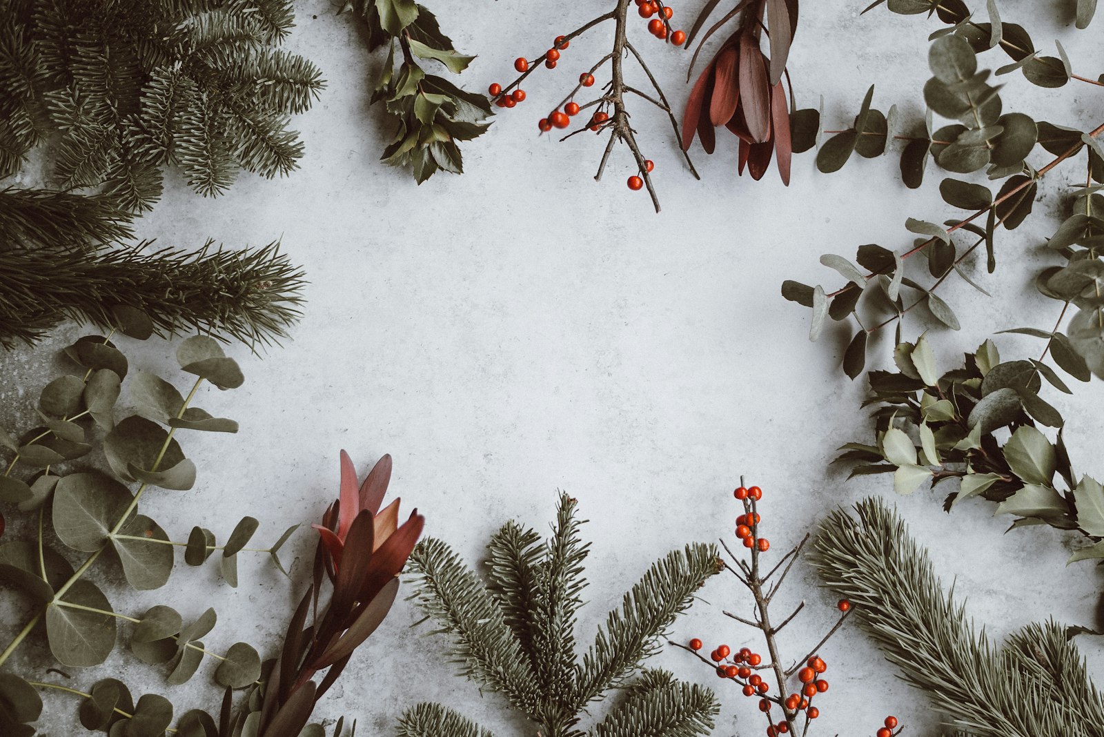 Festive winter greenery and berries for Solvang Julefest Christmas